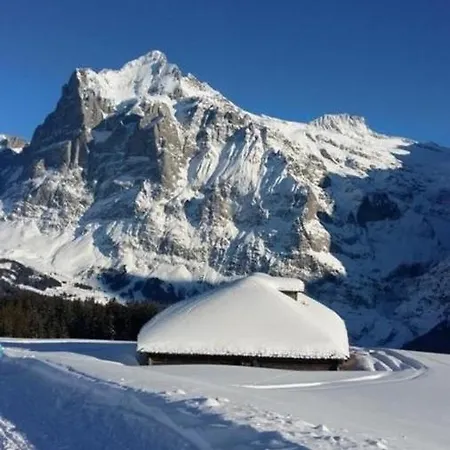 Burgenerszaun 6 Bett Apartment Grindelwald